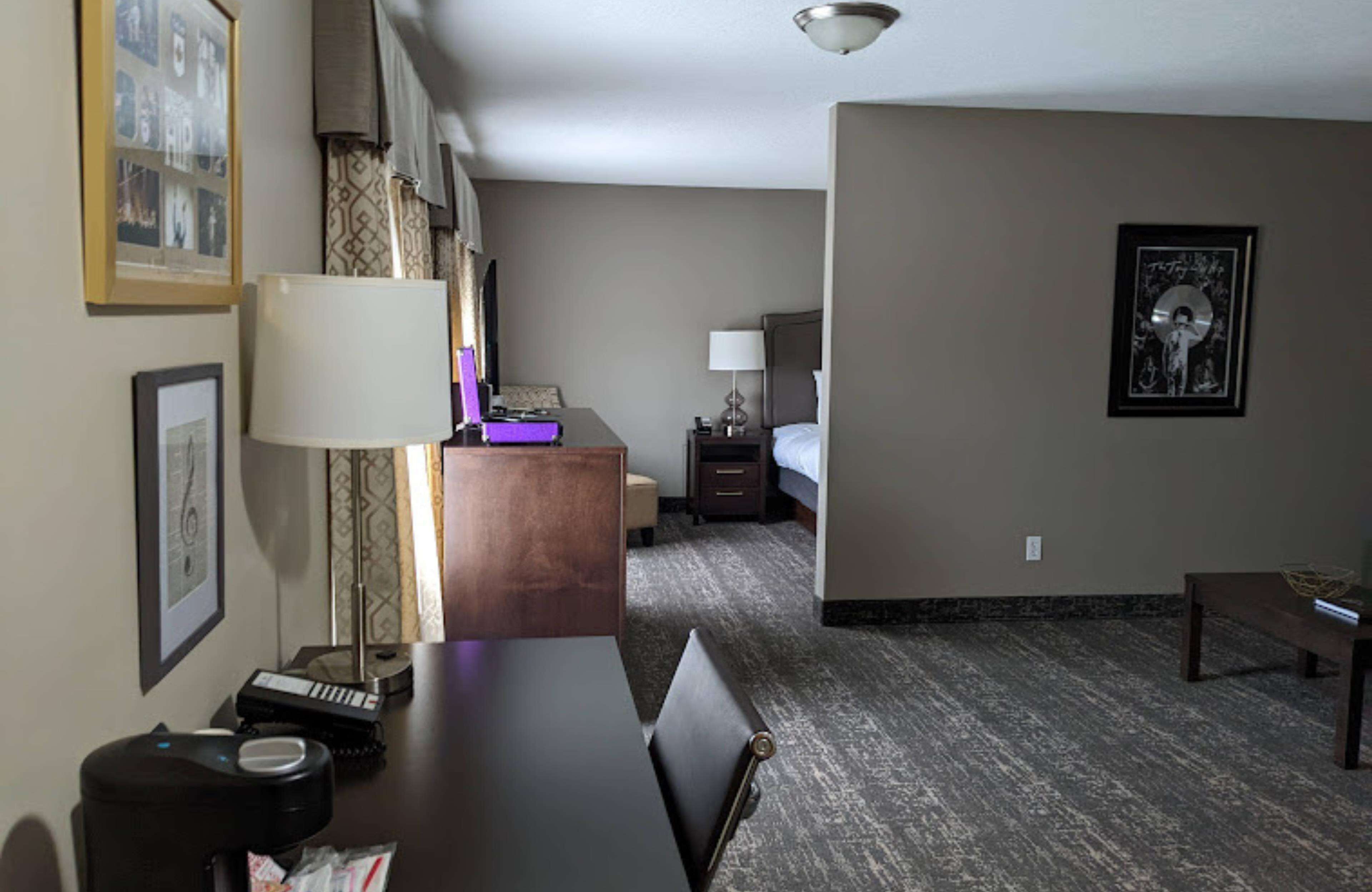 suite, 1 king bed, non smoking, refrigerator & microwave (theme room;with sofabed) | 1 bedroom, iron/ironing board, rollaway beds, internet