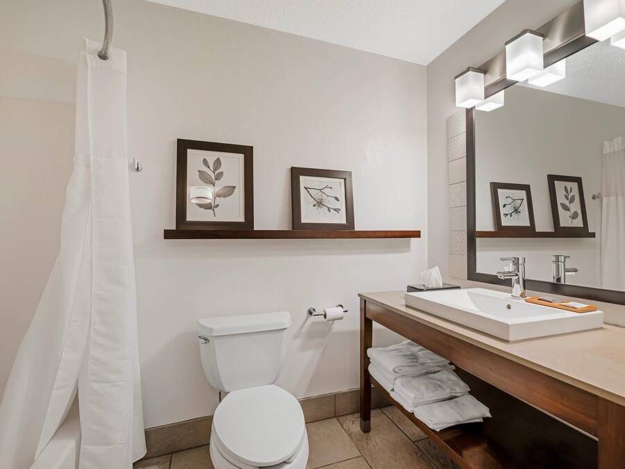 A bathroom with a white toilet, a sink with a mirror, framed pictures on the wall, and a shower curtain.