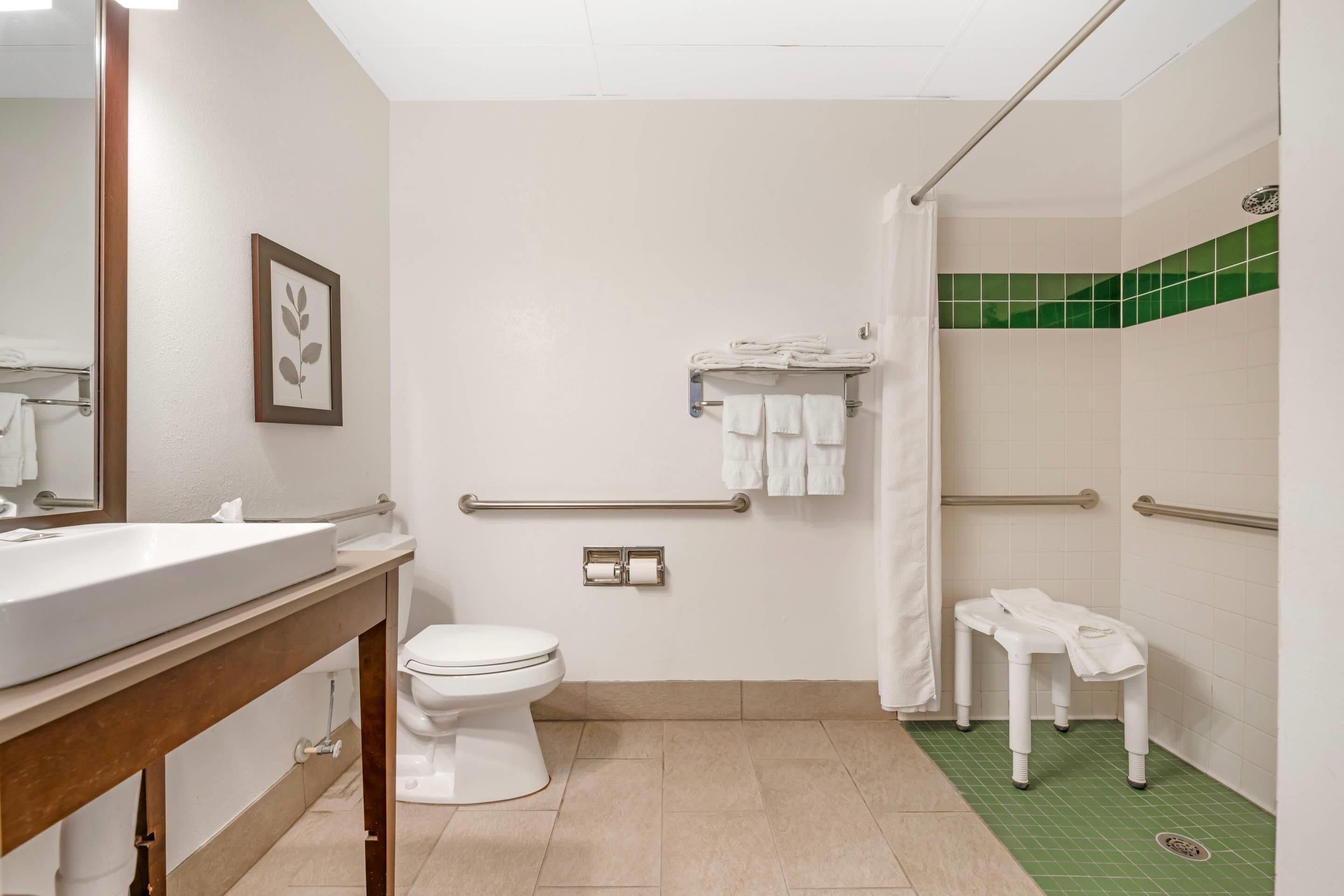 A bathroom with a sink, toilet, handrails, a towel rack, and a shower area.