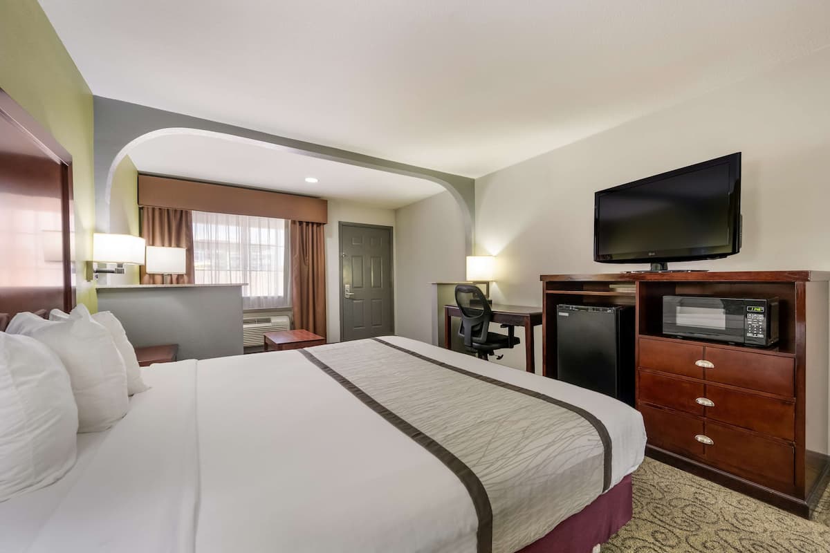 Habitación de hotel con una cama grande, un escritorio con una silla, televisión y microondas.