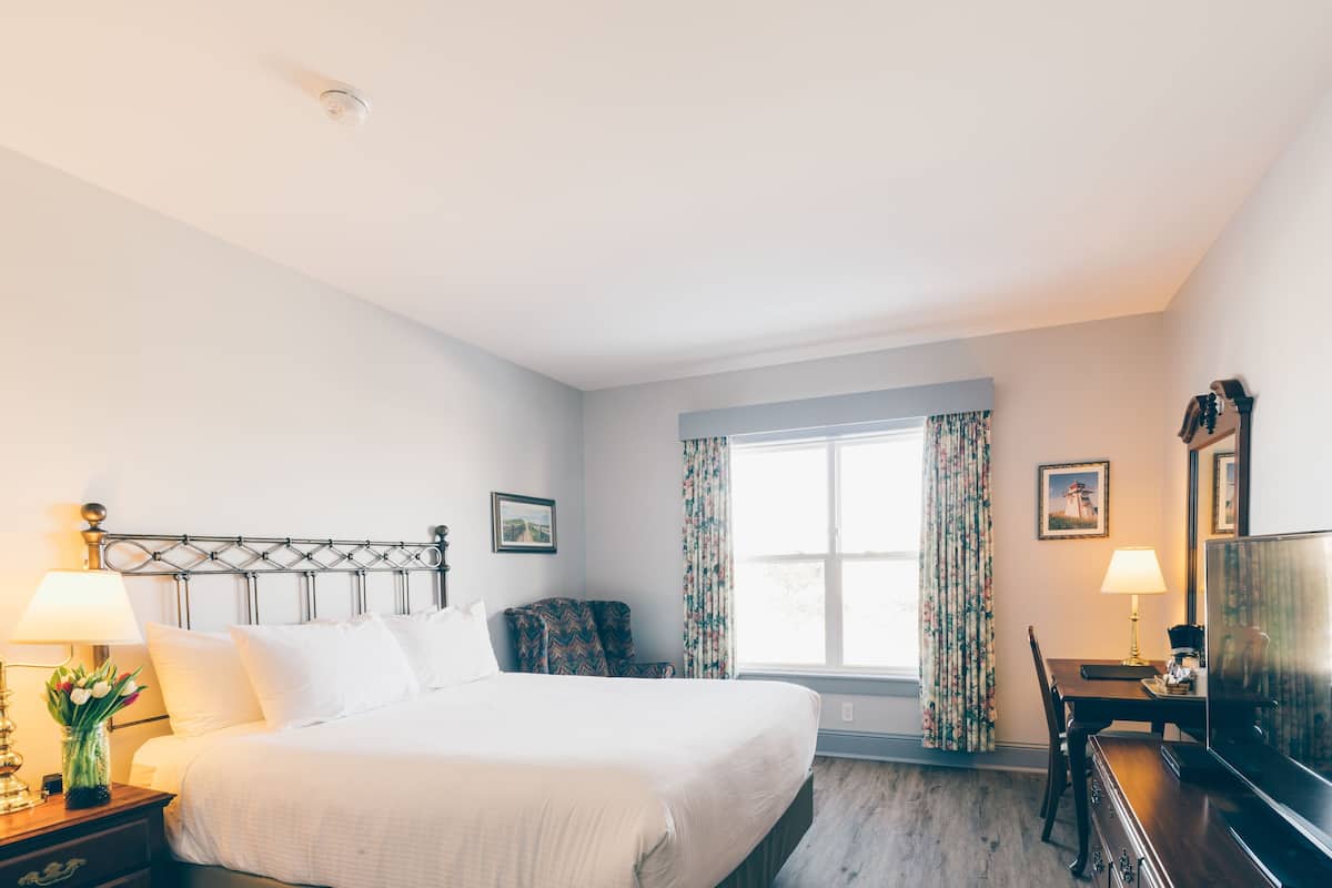 Minibar, desk, iron/ironing board, free WiFi