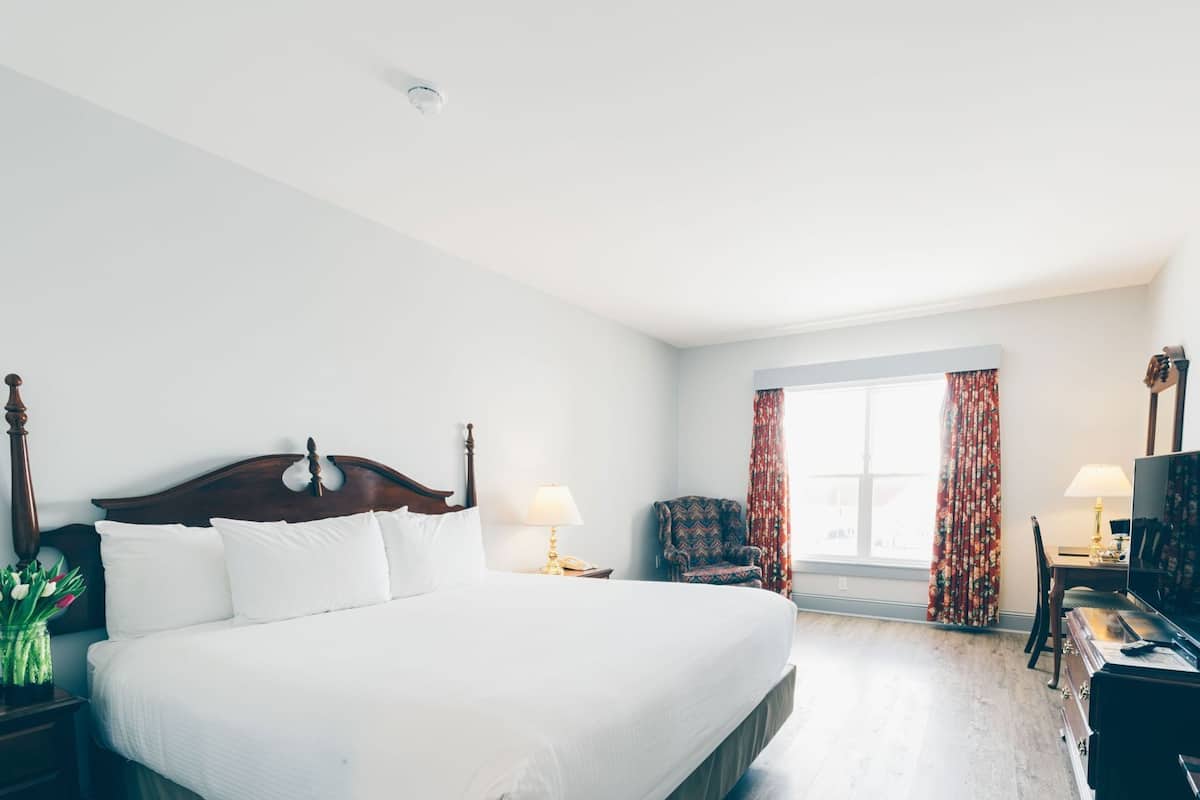 Minibar, desk, iron/ironing board, free WiFi