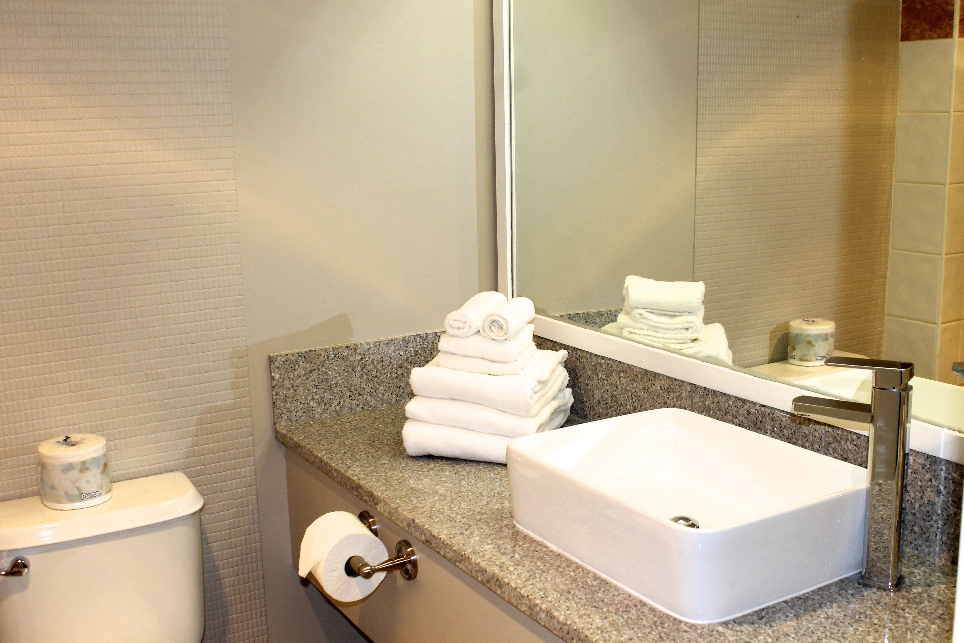 combined shower/bathtub, free toiletries, hair dryer, towels