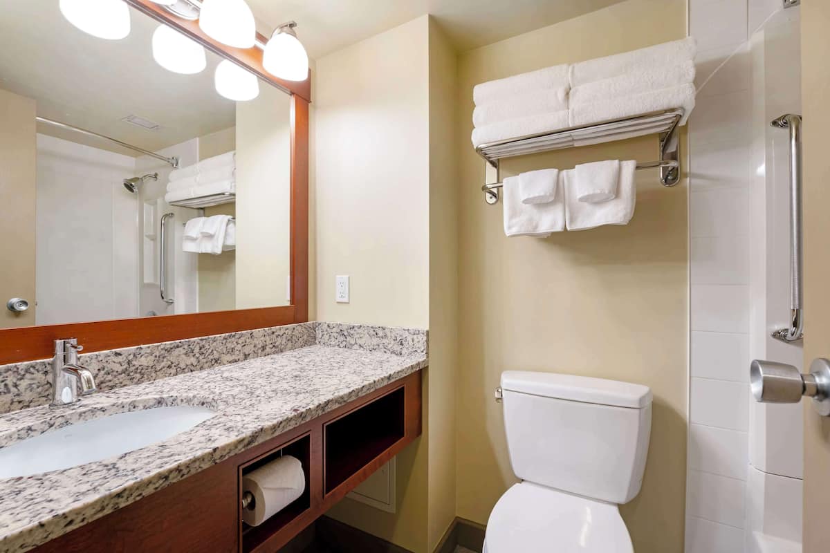 combined shower/bathtub, free toiletries, hair dryer, towels