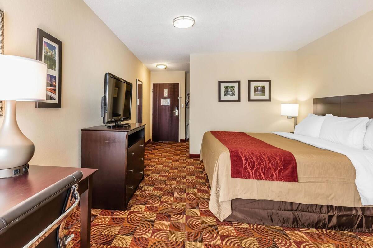 A hotel room with a bed, a TV on a dresser, a patterned carpet, and framed pictures on the wall.