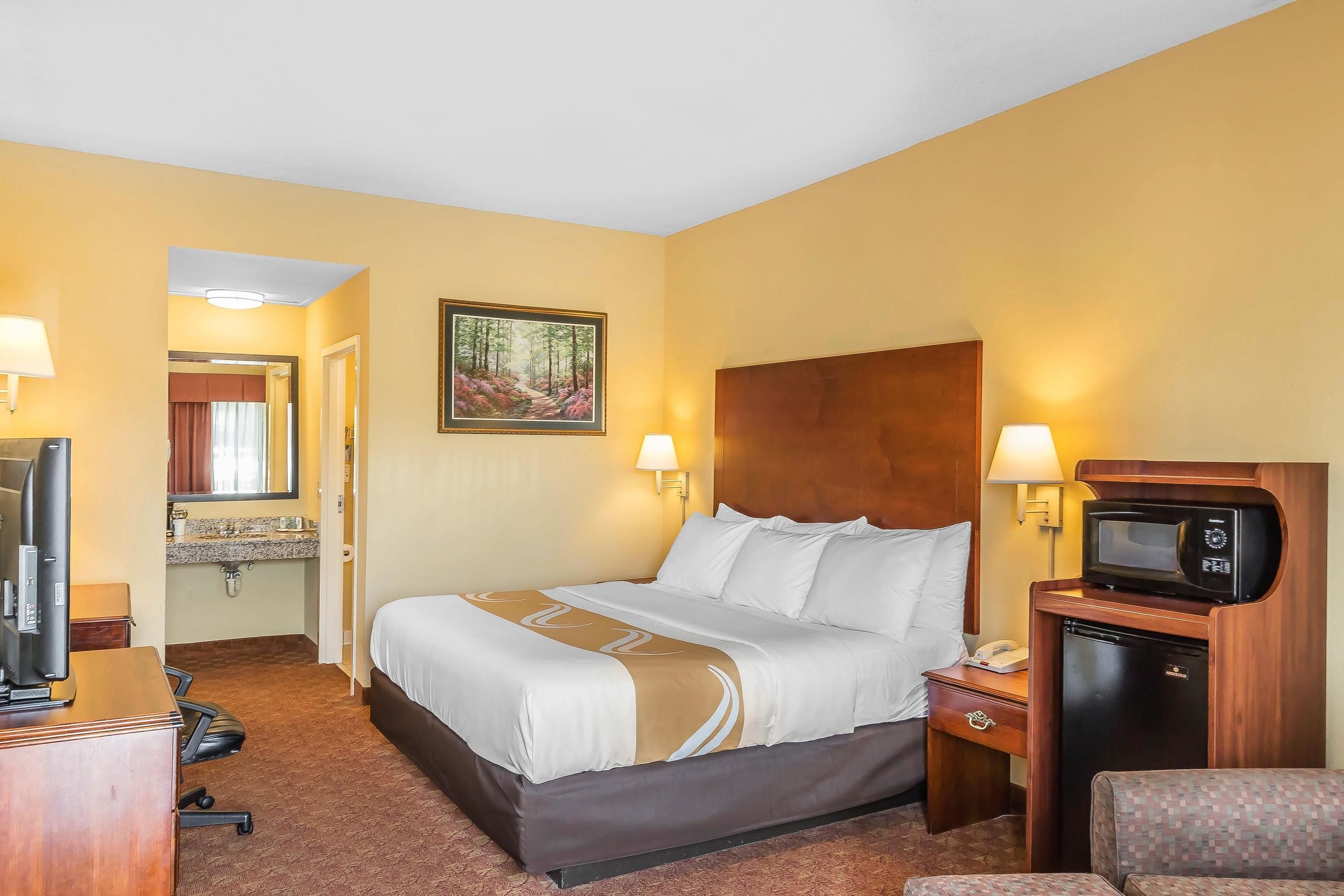 A hotel room with a bed, a television, a microwave, a desk, and a bathroom.