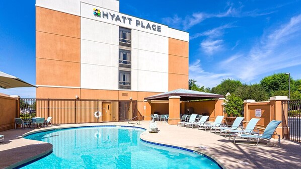Outdoor pool, pool loungers