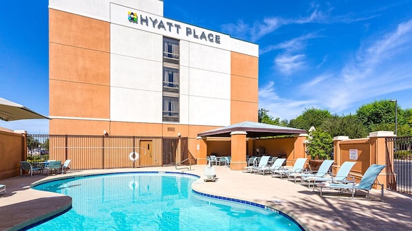 Outdoor pool, pool loungers