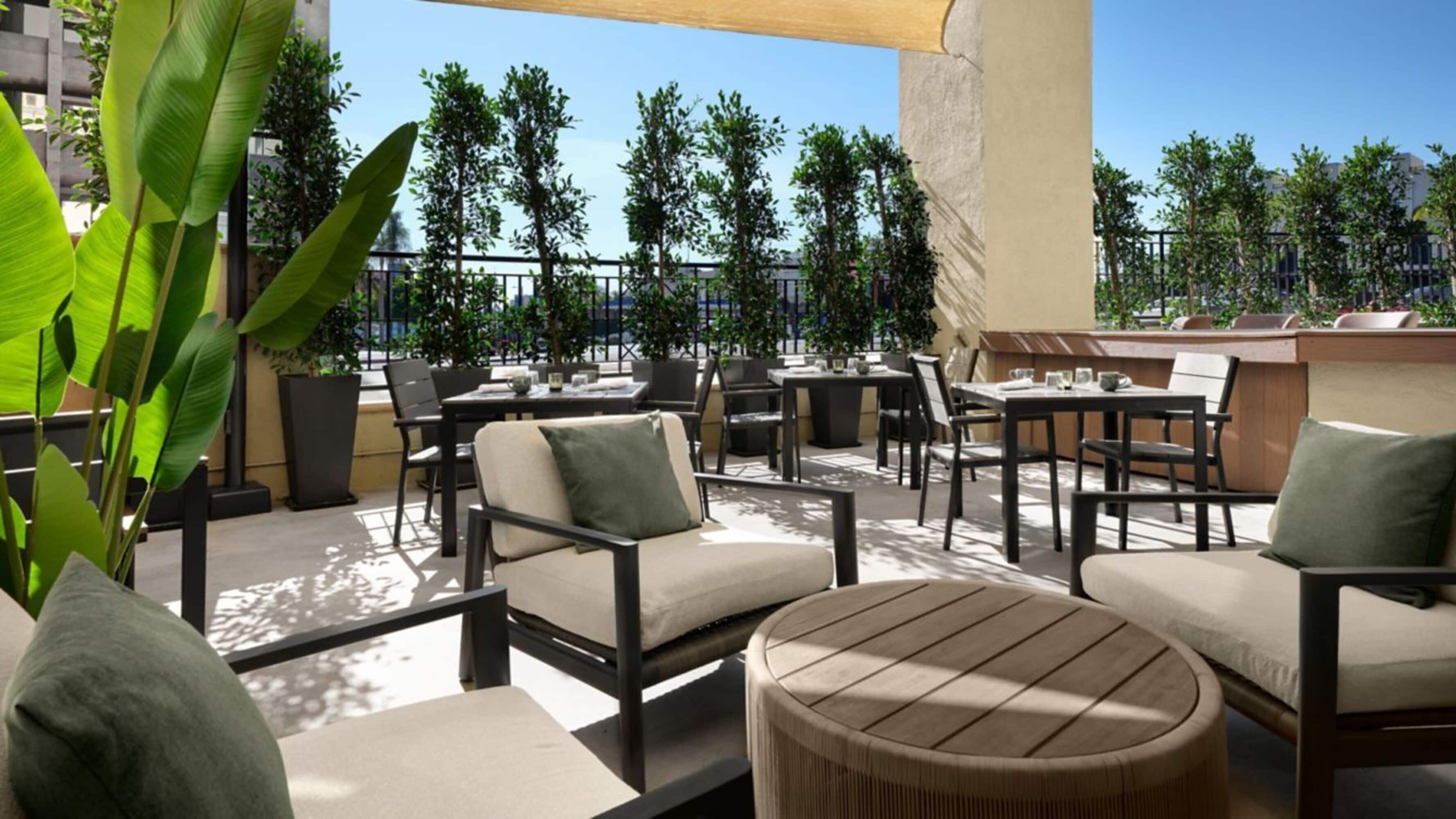 An outdoor patio area with multiple tables and chairs, surrounded by potted plants and trees.