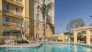 A hotel pool area with lounge chairs, a pergola, and a palm tree.