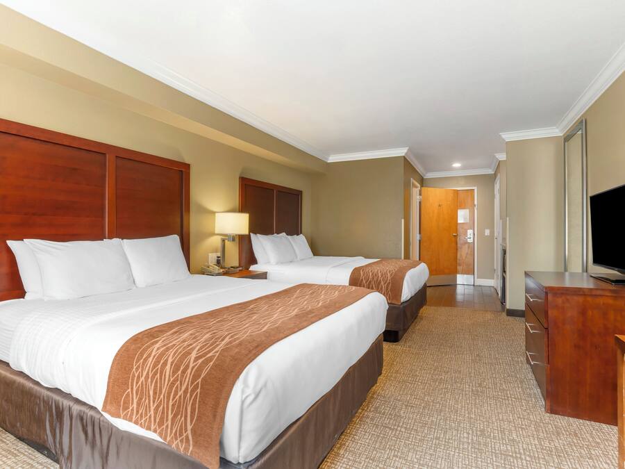 Habitación de hotel con dos camas, televisión, escritorio y lámpara.