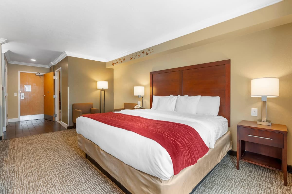 Room, 1 King Bed, Accessible, Non Smoking | Egyptian cotton sheets, premium bedding, desk, blackout drapes