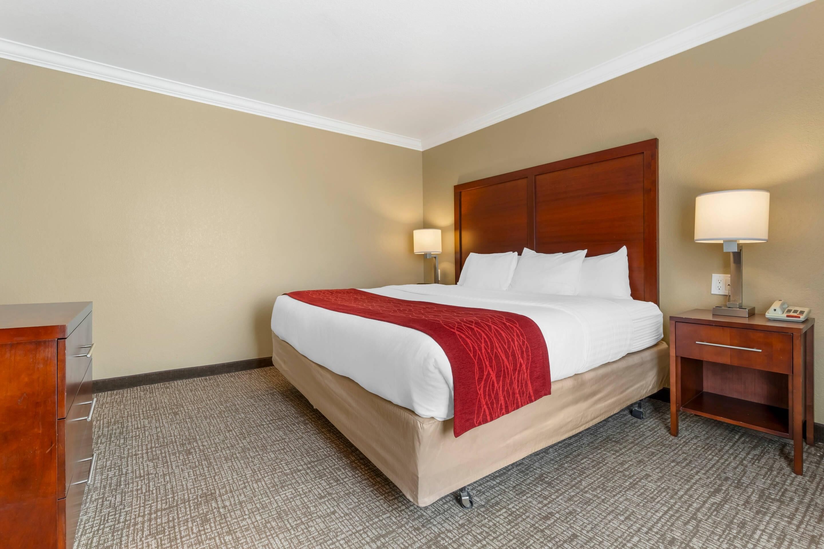 Room, 1 King Bed, Non Smoking | Egyptian cotton sheets, premium bedding, desk, blackout drapes