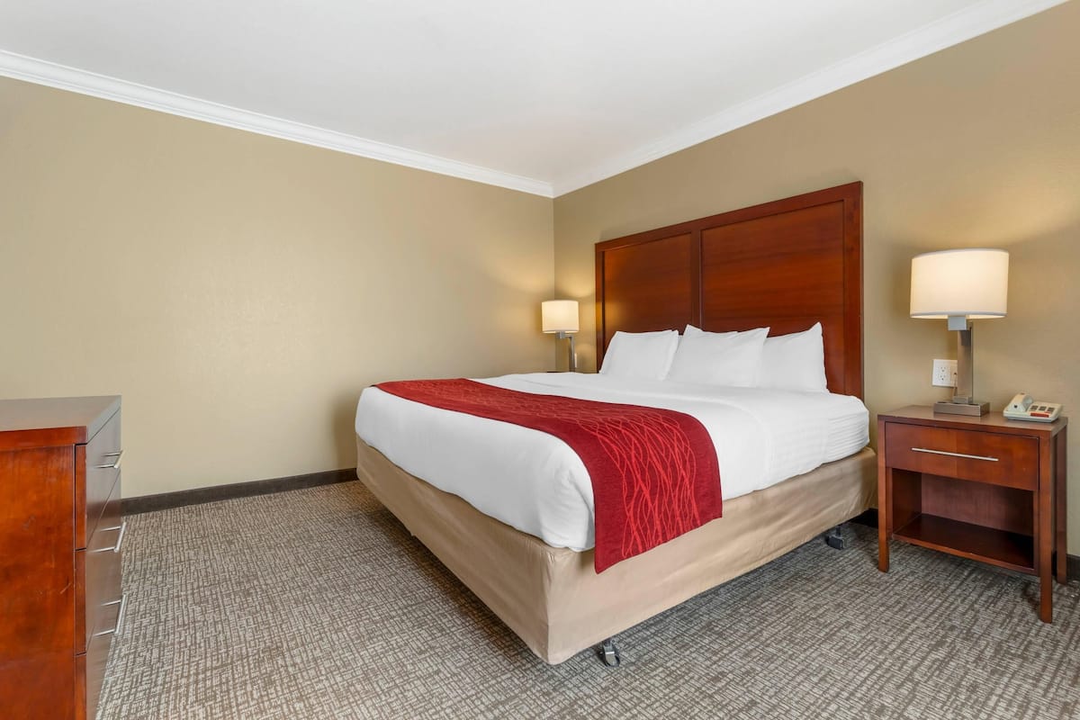 Room, 1 King Bed, Non Smoking | Egyptian cotton sheets, premium bedding, desk, blackout drapes