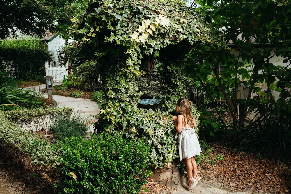 Cambria Pines Lodge by null