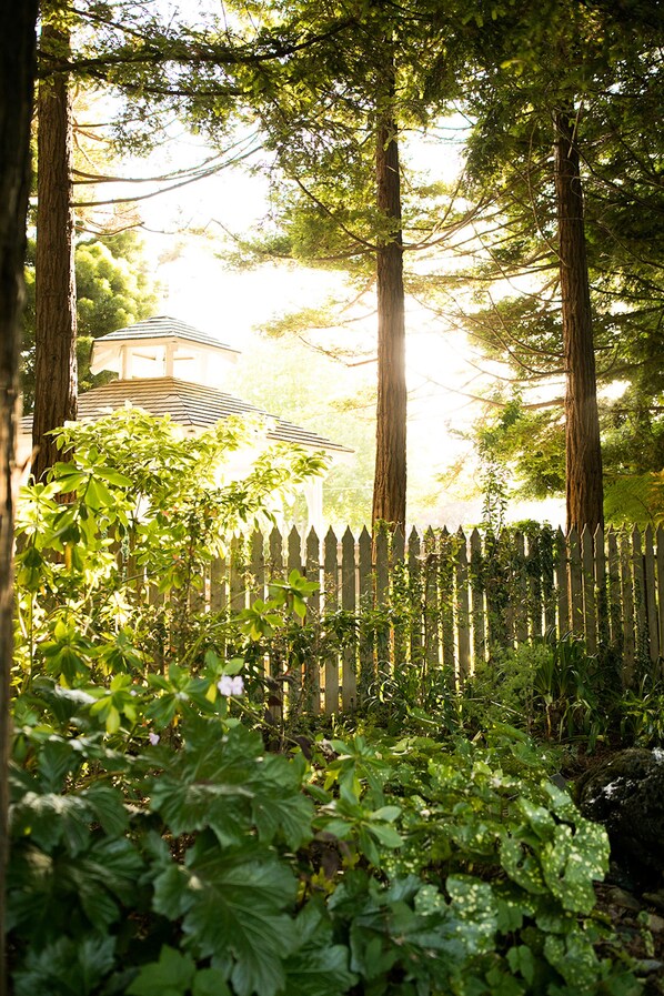 A garden with a wooden fence, tall trees, and a gazebo.