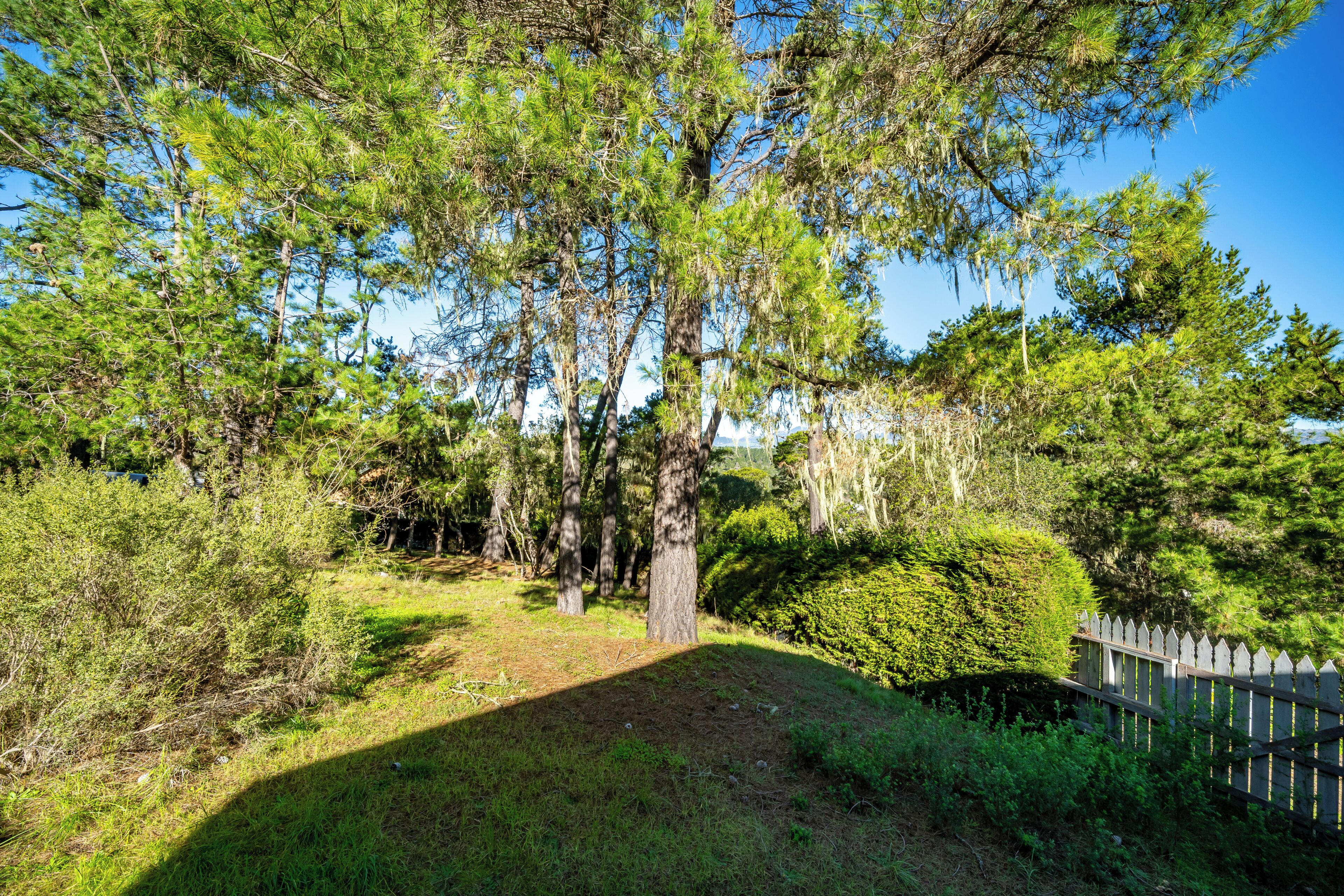 A forested area with a wooden fence, trees, and a clear sky.