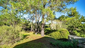 A forested area with a wooden fence, trees, and a clear sky.
