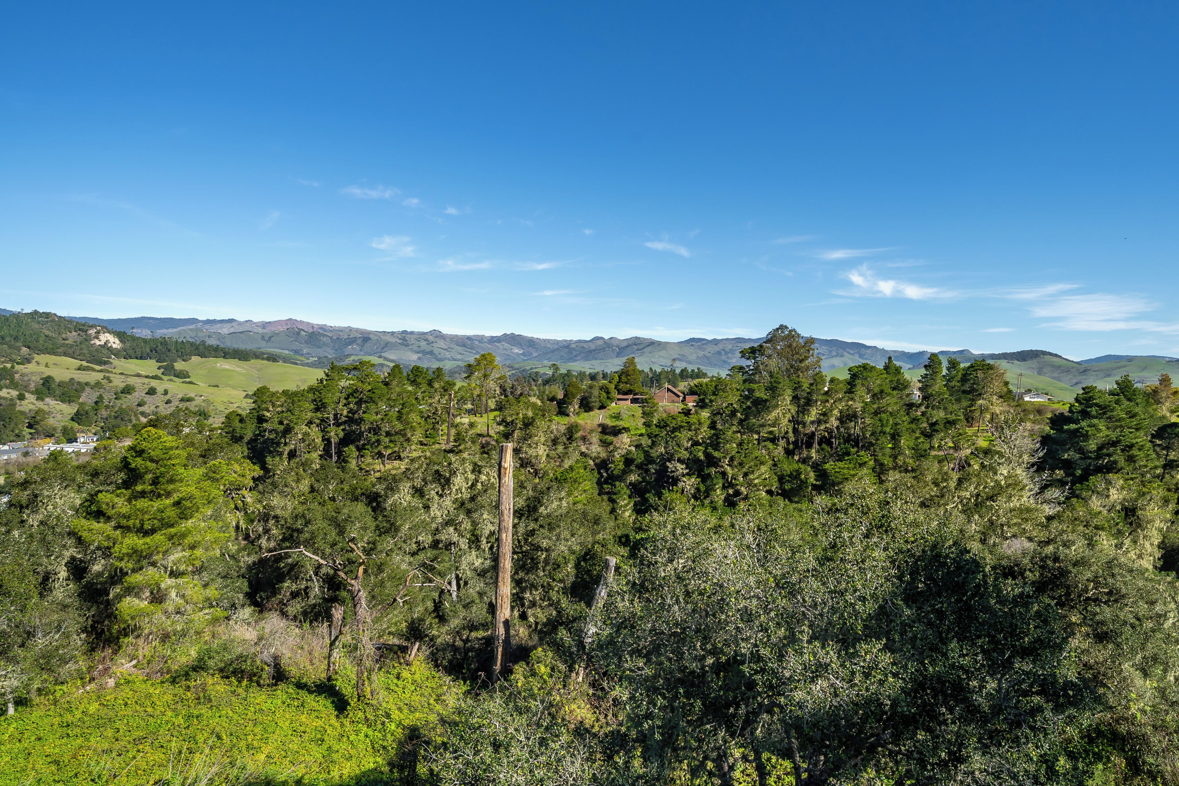 A mountainous landscape with dense forest and a clear sky.