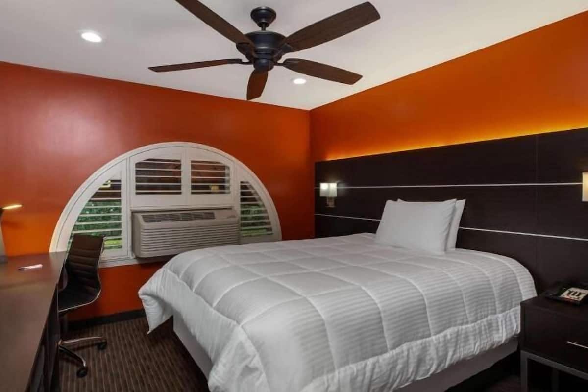 Premium bedding, in-room safe, desk, blackout drapes