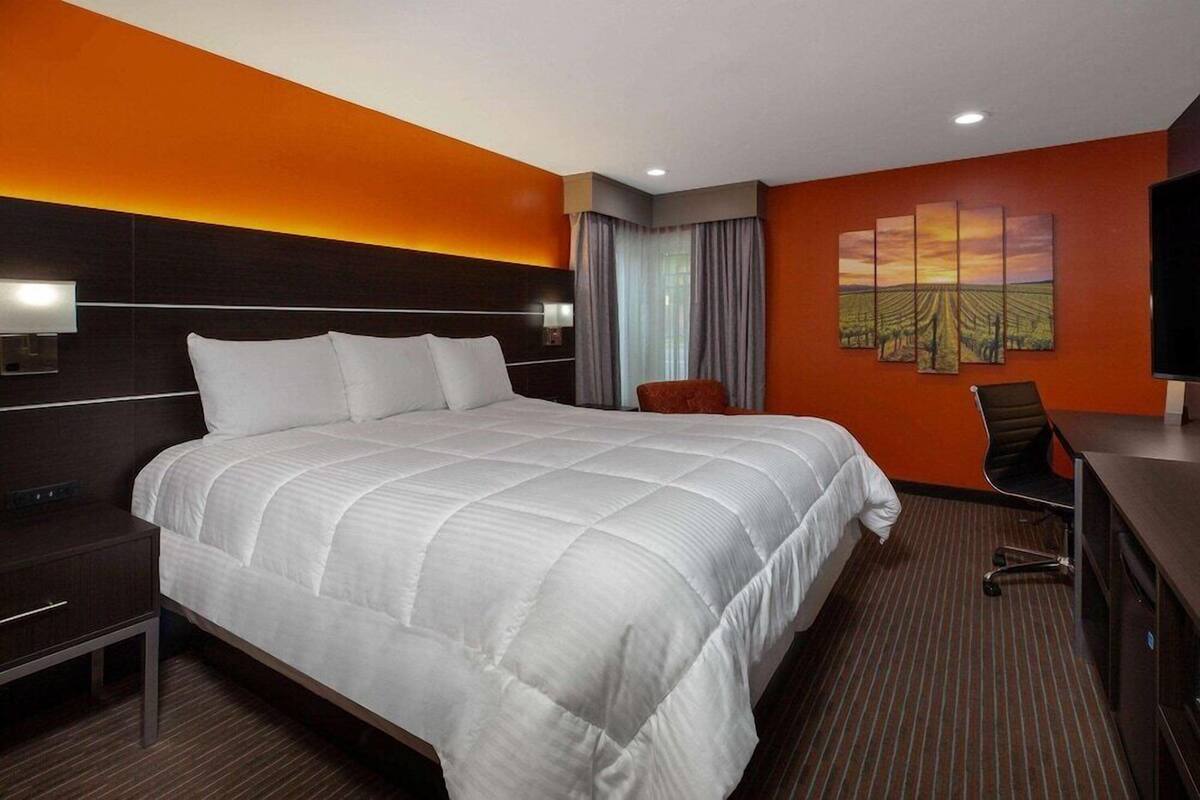 Habitación de hotel con una cama grande, un escritorio, una silla, un televisor y un cuadro en la pared.