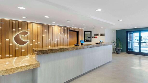 A modern reception area with a wooden panel wall, a reception desk, and a large window providing natural light.
