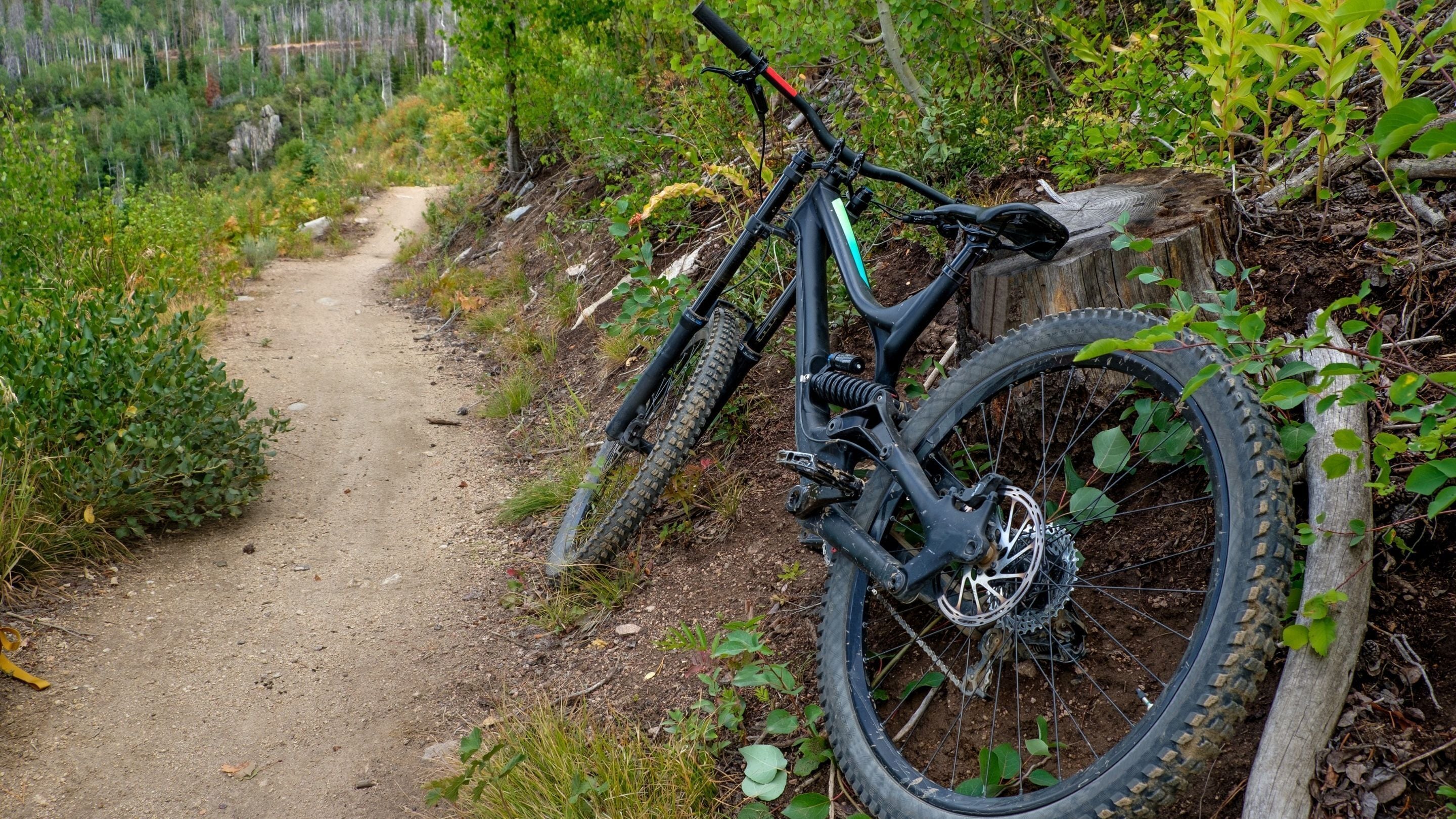 En mountainbike parkerad på en grusväg, omgiven av grönska.