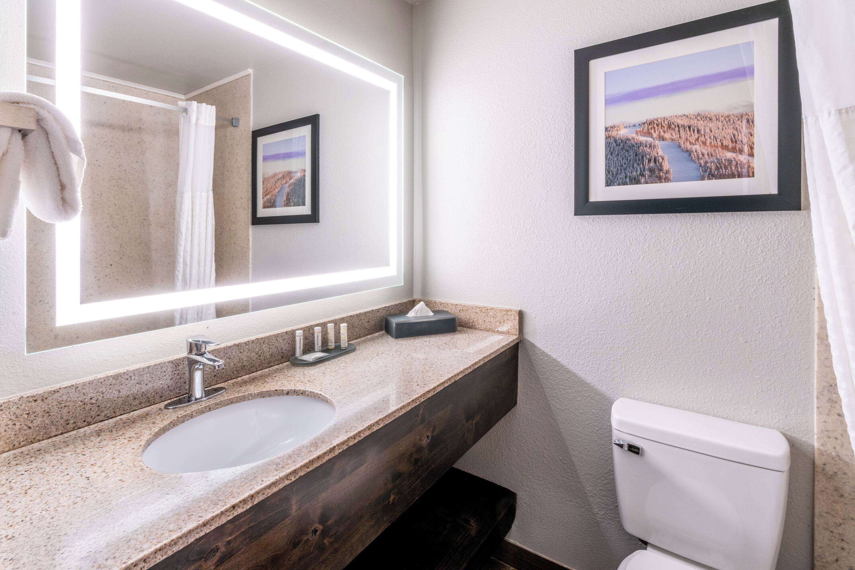 Une salle de bain avec un grand miroir, un lavabo, des toilettes et un tableau encadré au mur.