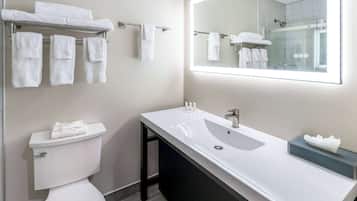 Ensemble baignoire-douche, séchoir à cheveux, serviettes fournies