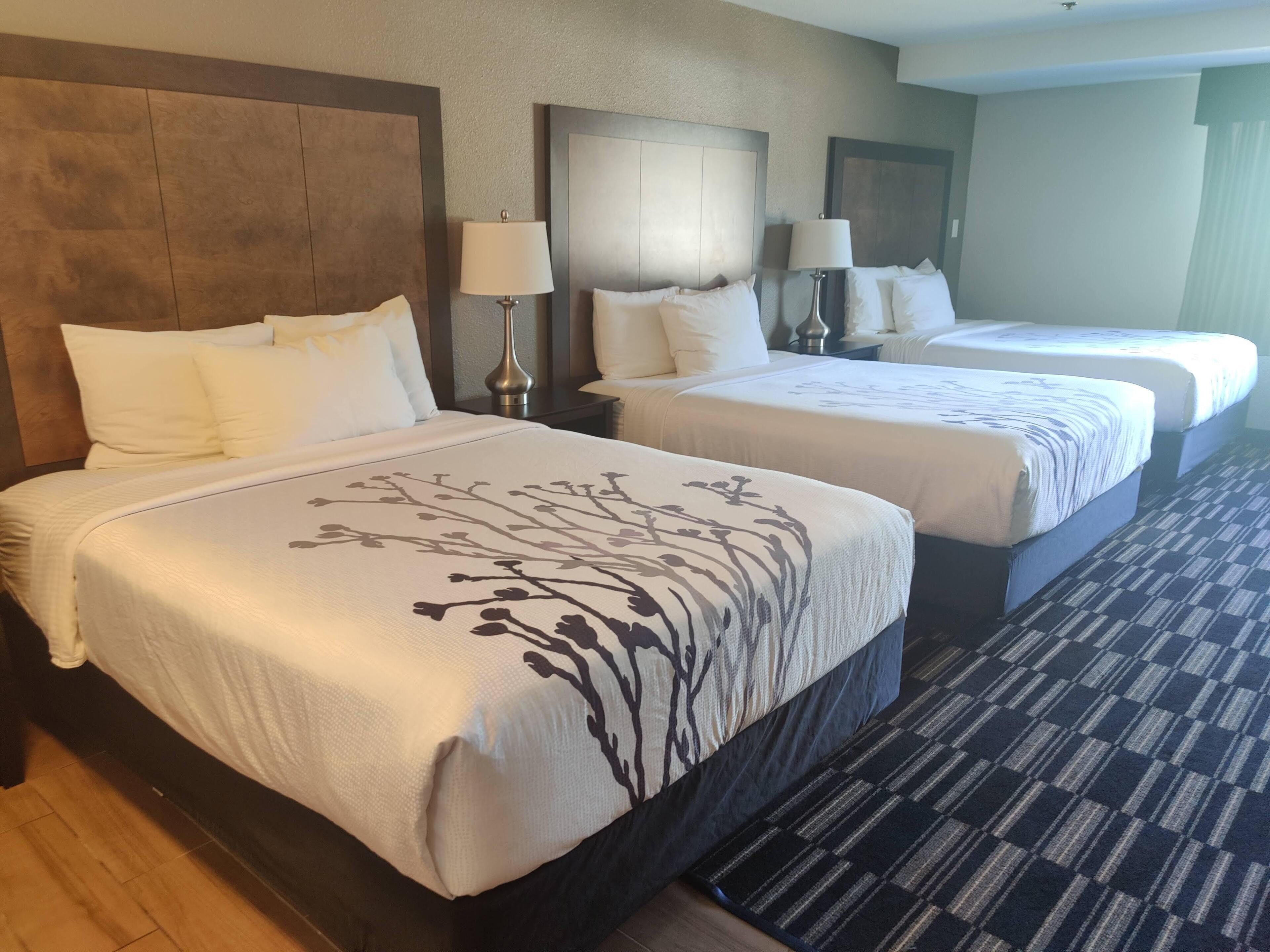 Deluxe Room, Multiple Beds, Non Smoking