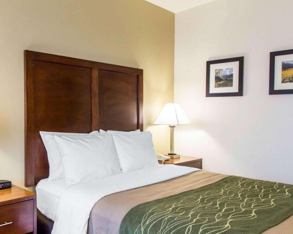 Iron/ironing board, free cots/infant beds, free WiFi, bed sheets