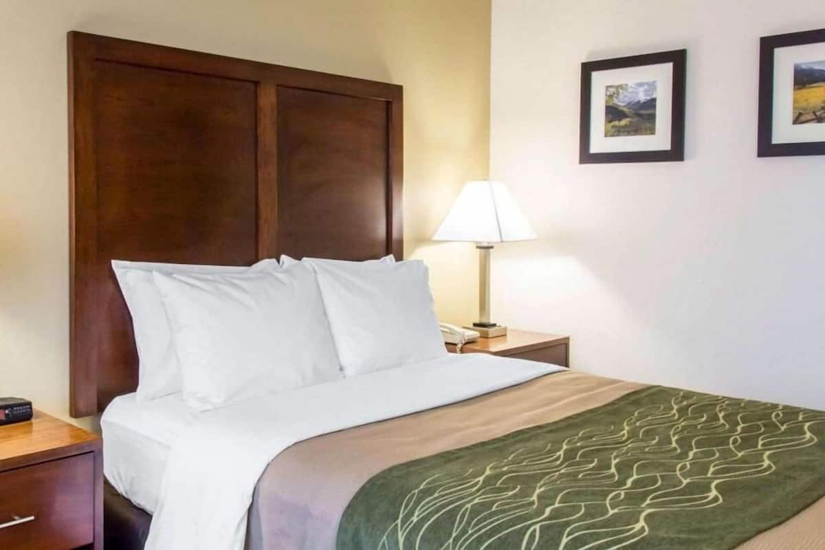 A hotel room with a wooden headboard, a bed with white bedding, a green patterned throw, a bedside lamp, a nightstand, and two framed pictures on the wall.