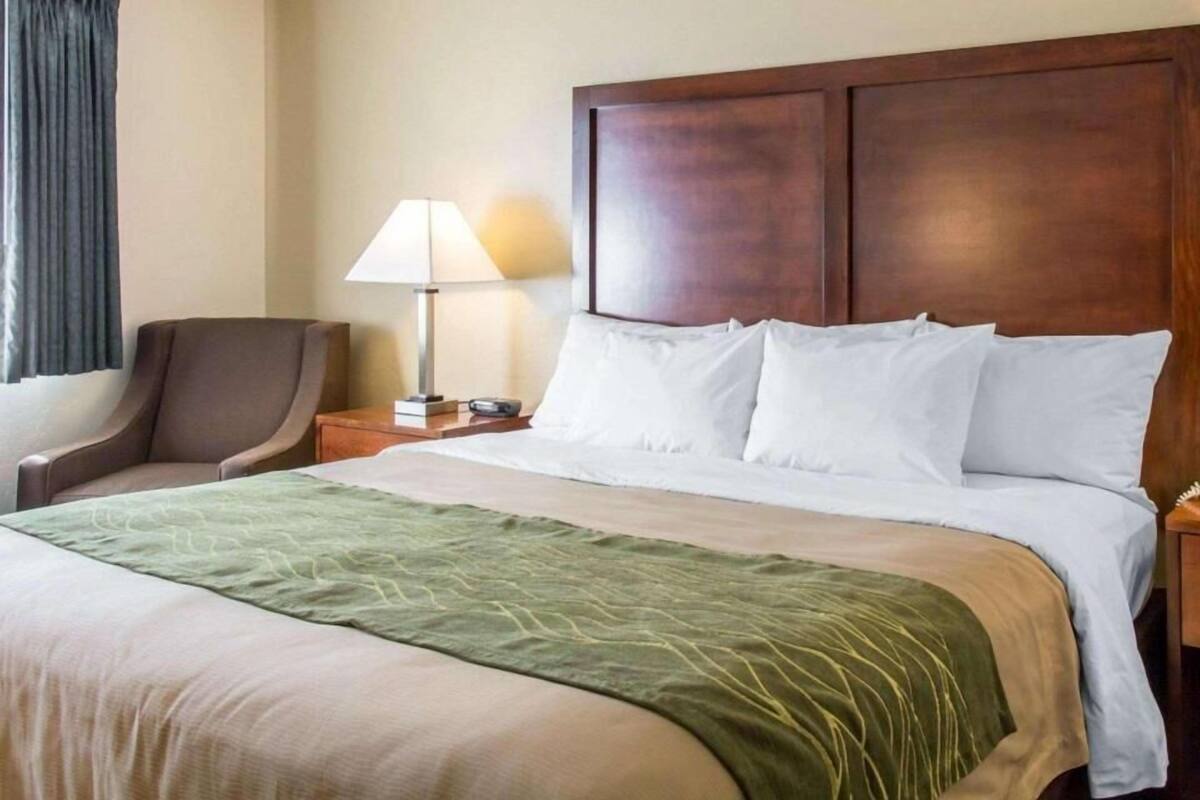 A hotel room with a bed, a chair, a nightstand, and a lamp.