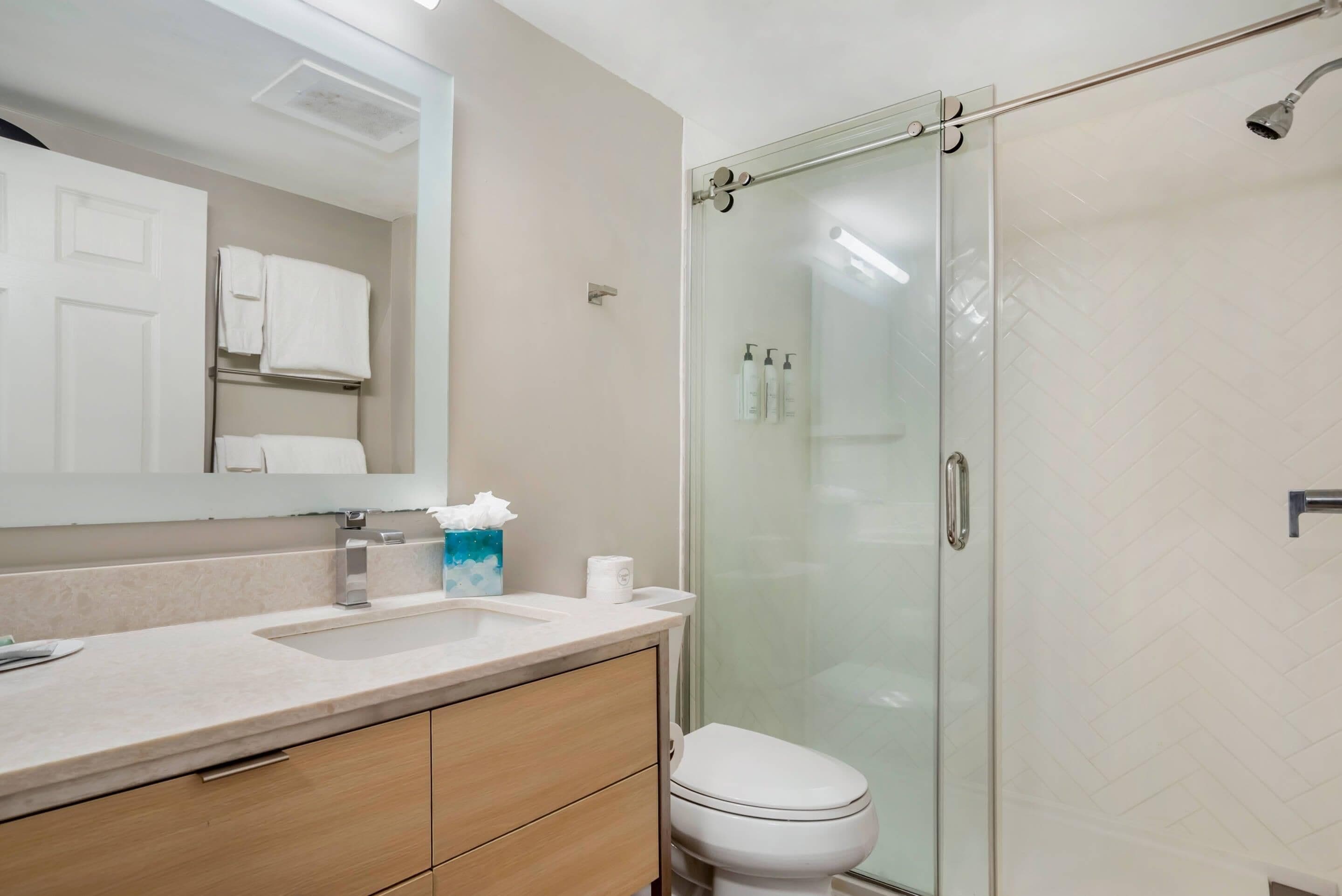A bathroom with a glass shower enclosure, a sink with a mirror above it, and a toilet.