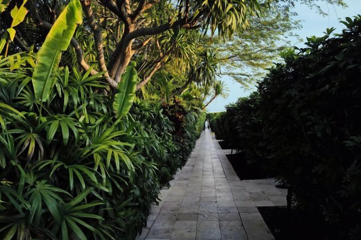 A pathway flanked by dense foliage and a stone pavement.