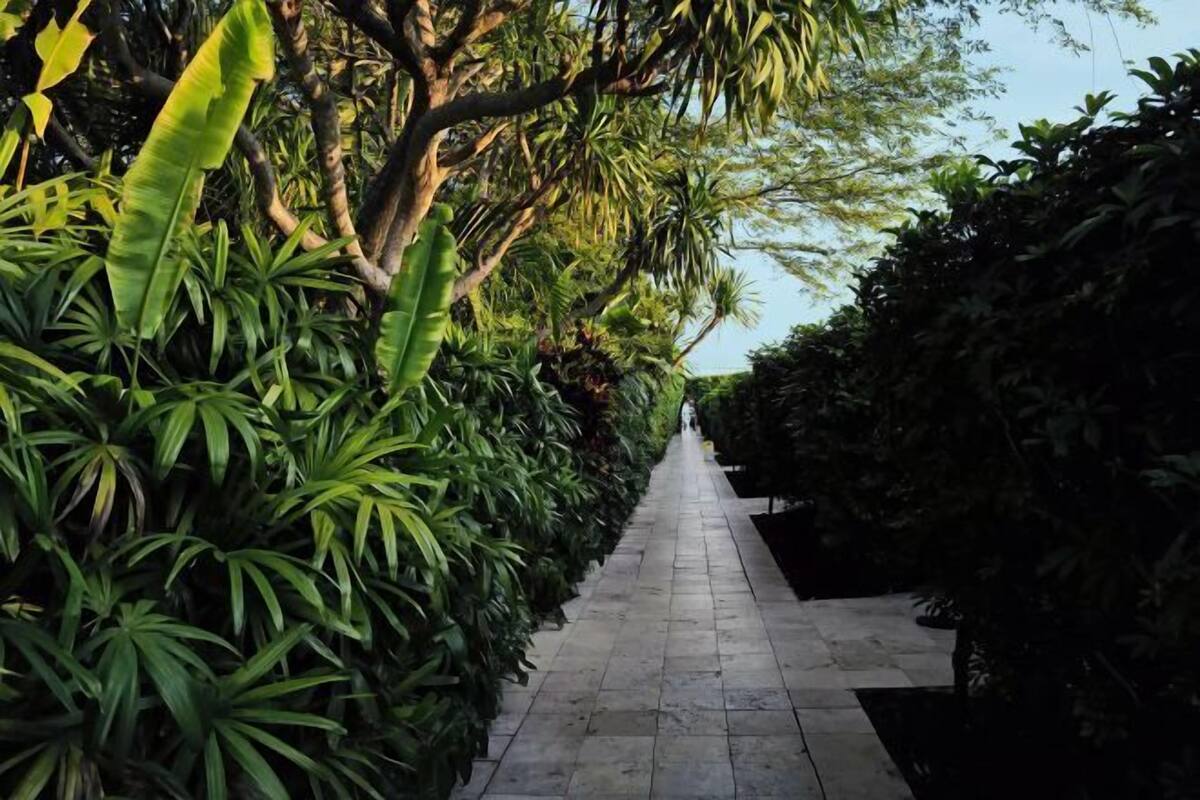 Un sentier bordé d’une végétation luxuriante et doté d’un pavage en pierre.