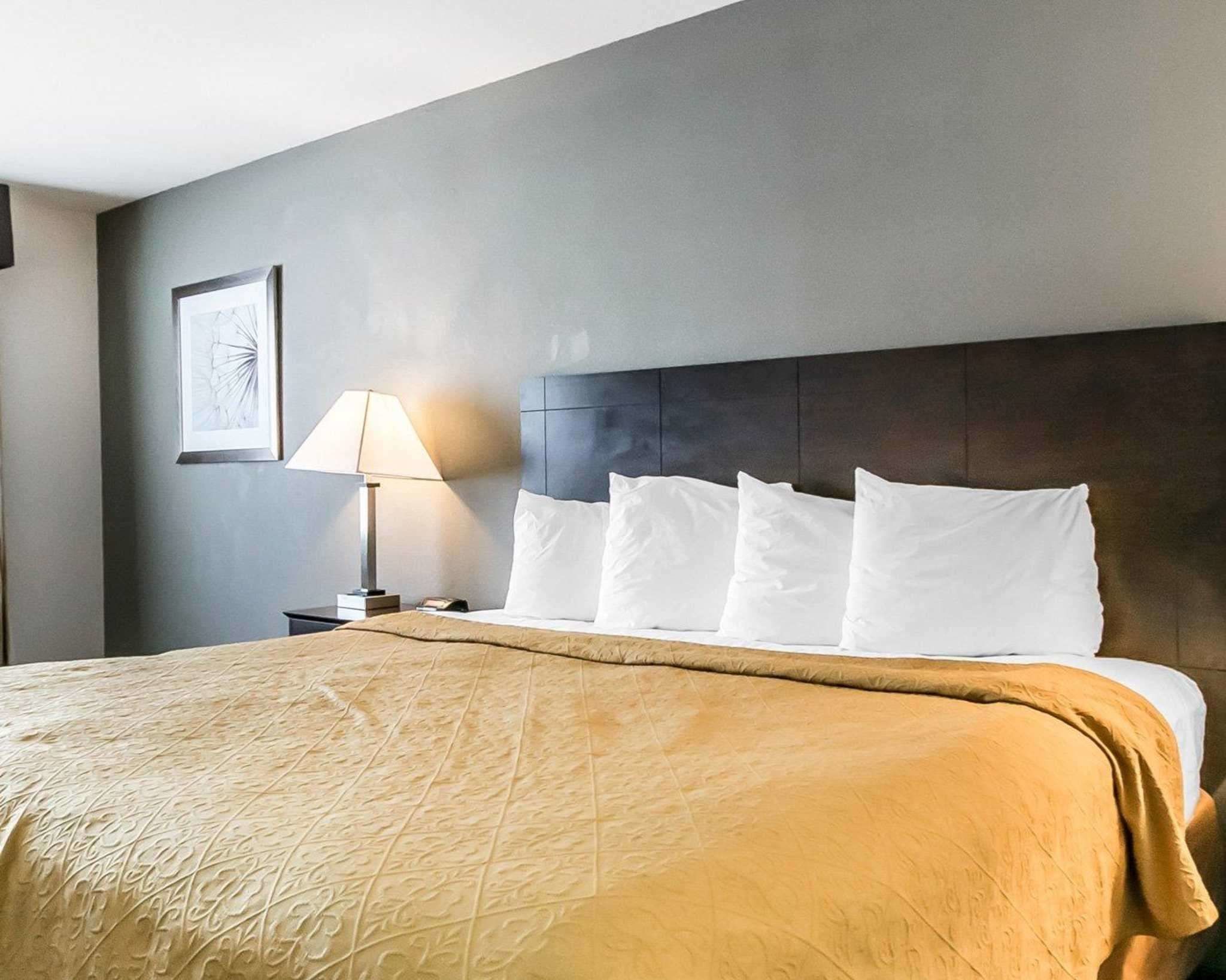 Foto - Quality Inn & Suites University-Airport