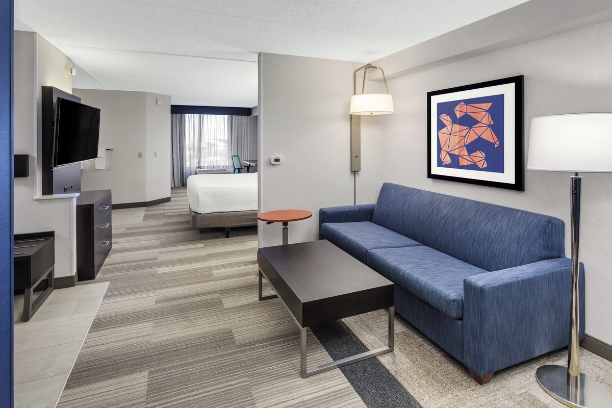 Suite, 1 King Bed with Sofa bed, Accessible (Communications)