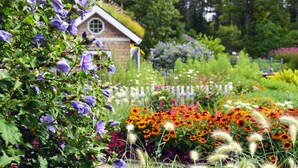 A garden with various flowers and a house in the background. - Brewster House Bed & Breakfast (Freeport)