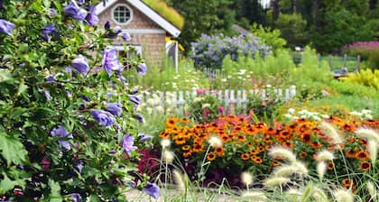Brewster House Bed & Breakfast