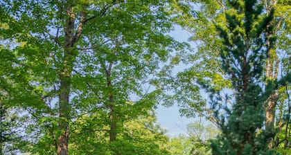 Brewster House Bed & Breakfast