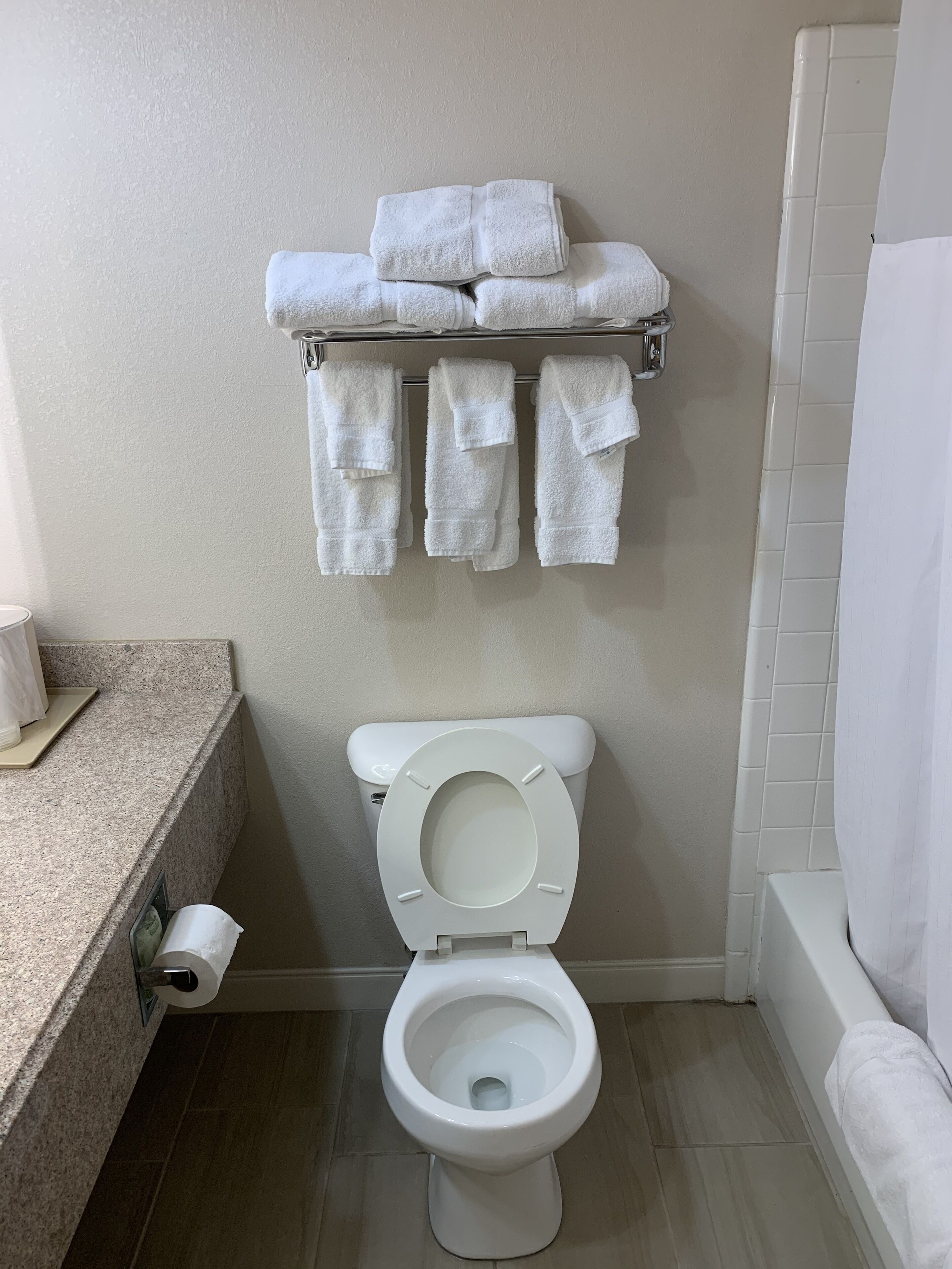 combined shower/bathtub, free toiletries, hair dryer, towels