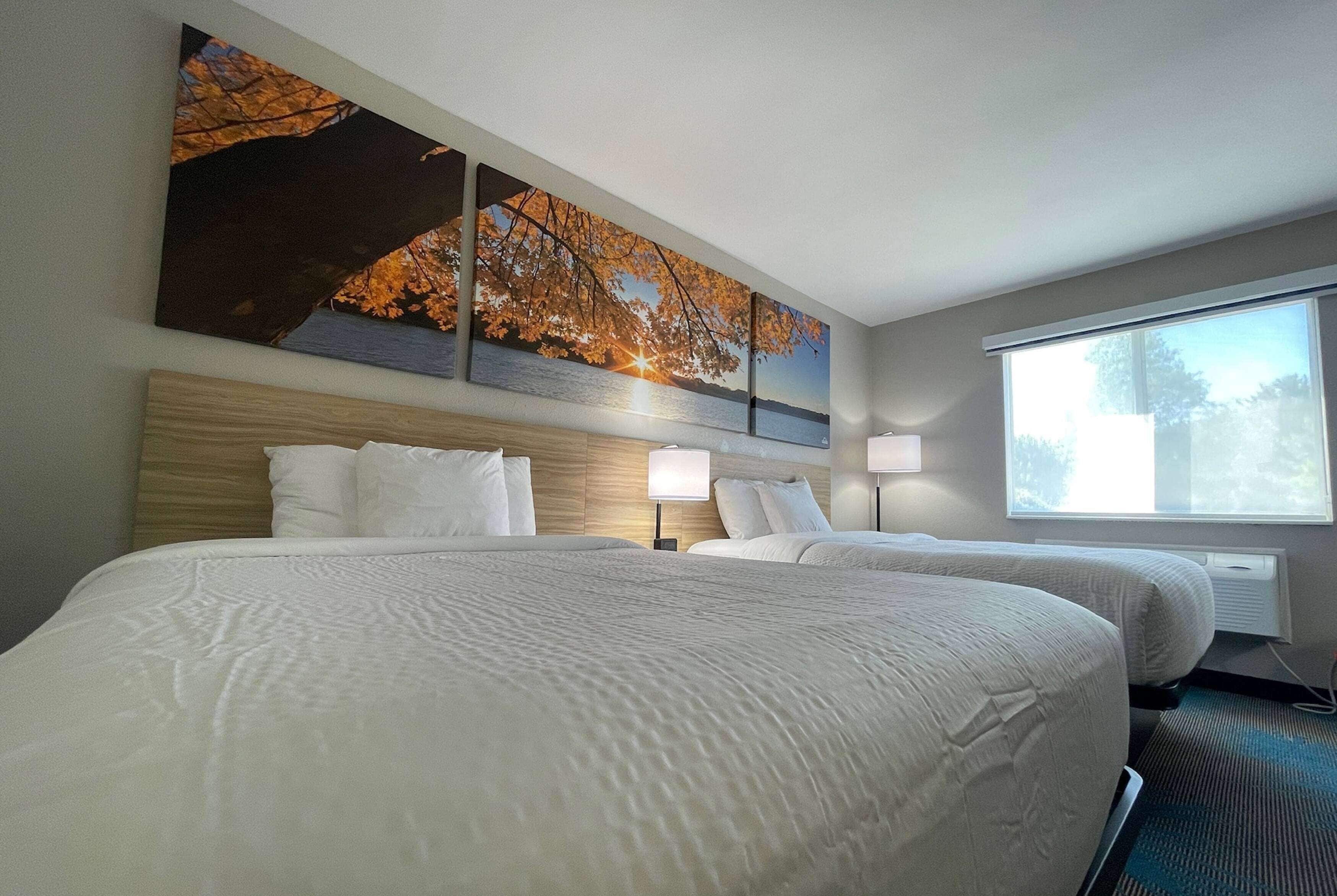 standard room, 2 queen beds | in-room safe, desk, iron/ironing board, free cots/infant beds