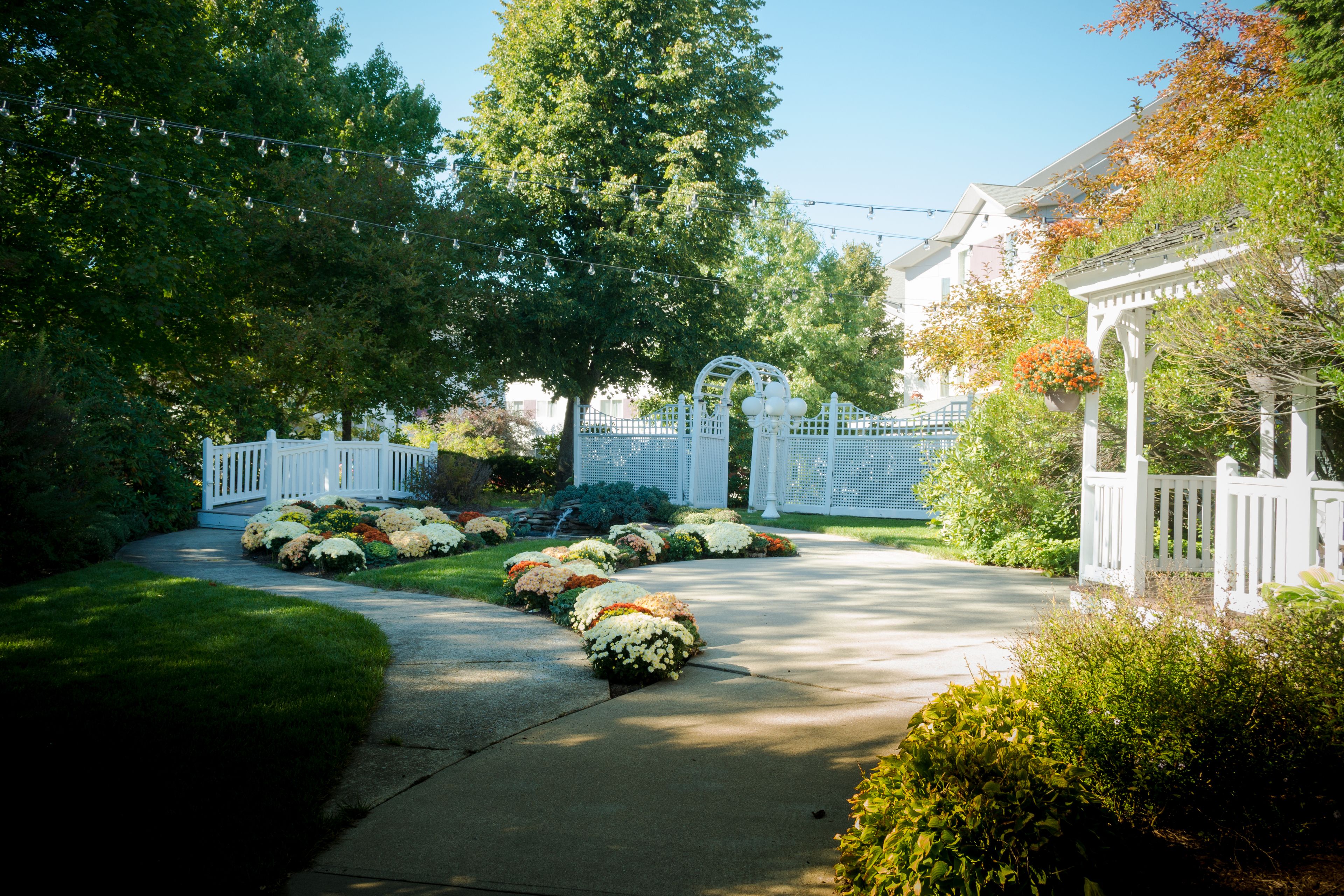 Foto - Best Western PLUS Executive Court Inn & Conference Center