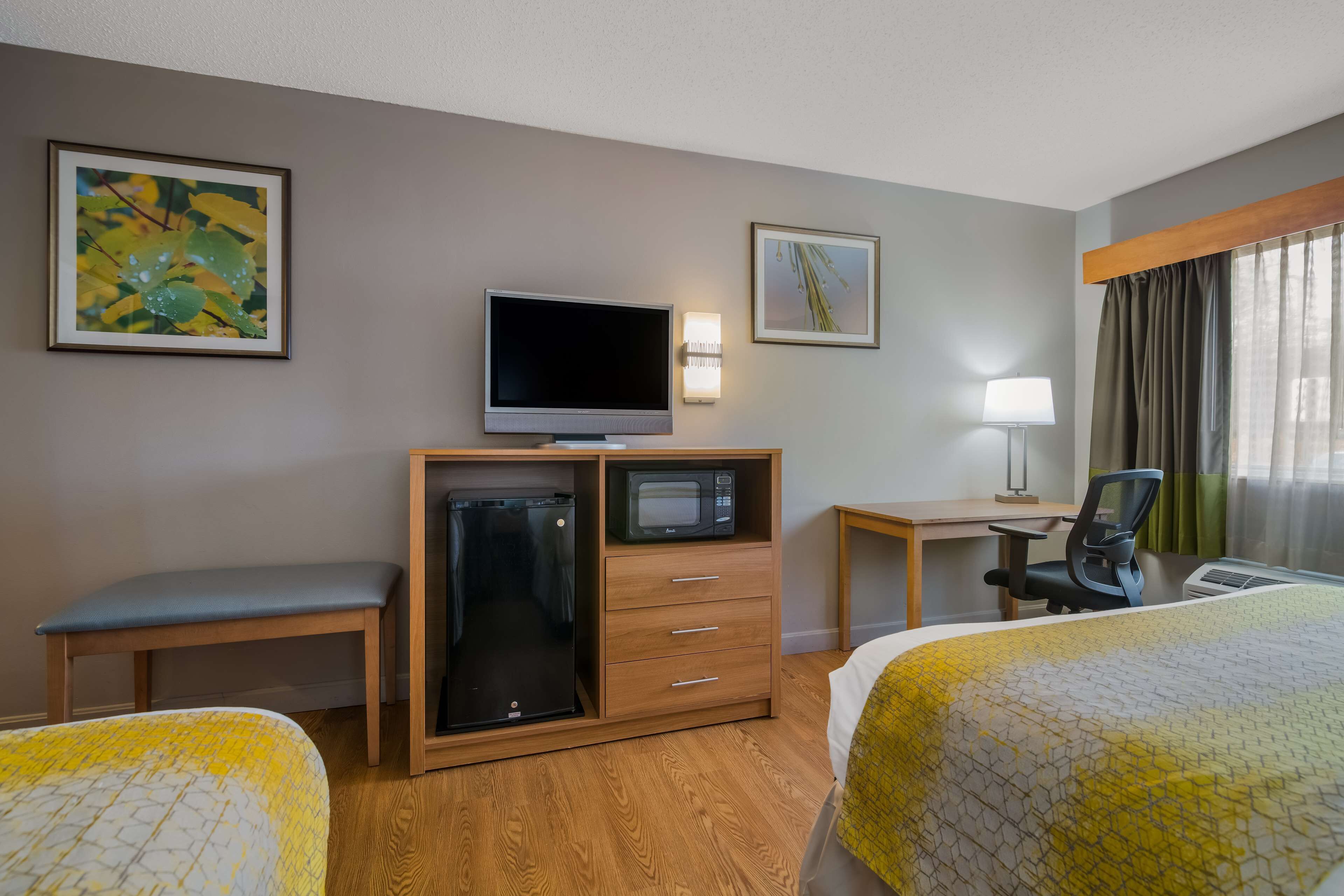 Standard Room, 2 Queen Beds, Non Smoking, Microwave (Pet Friendly) | Premium bedding, in-room safe, desk, laptop workspace
