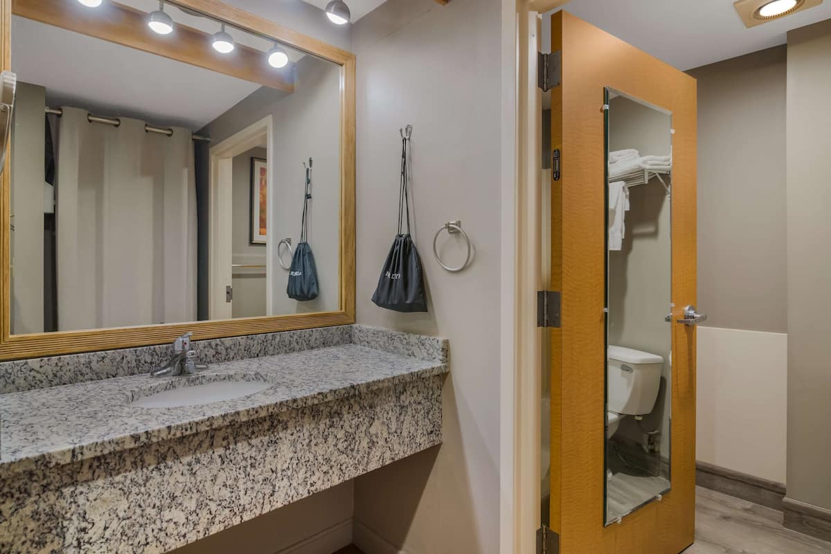 Combined shower/tub, eco-friendly toiletries, hair dryer, towels