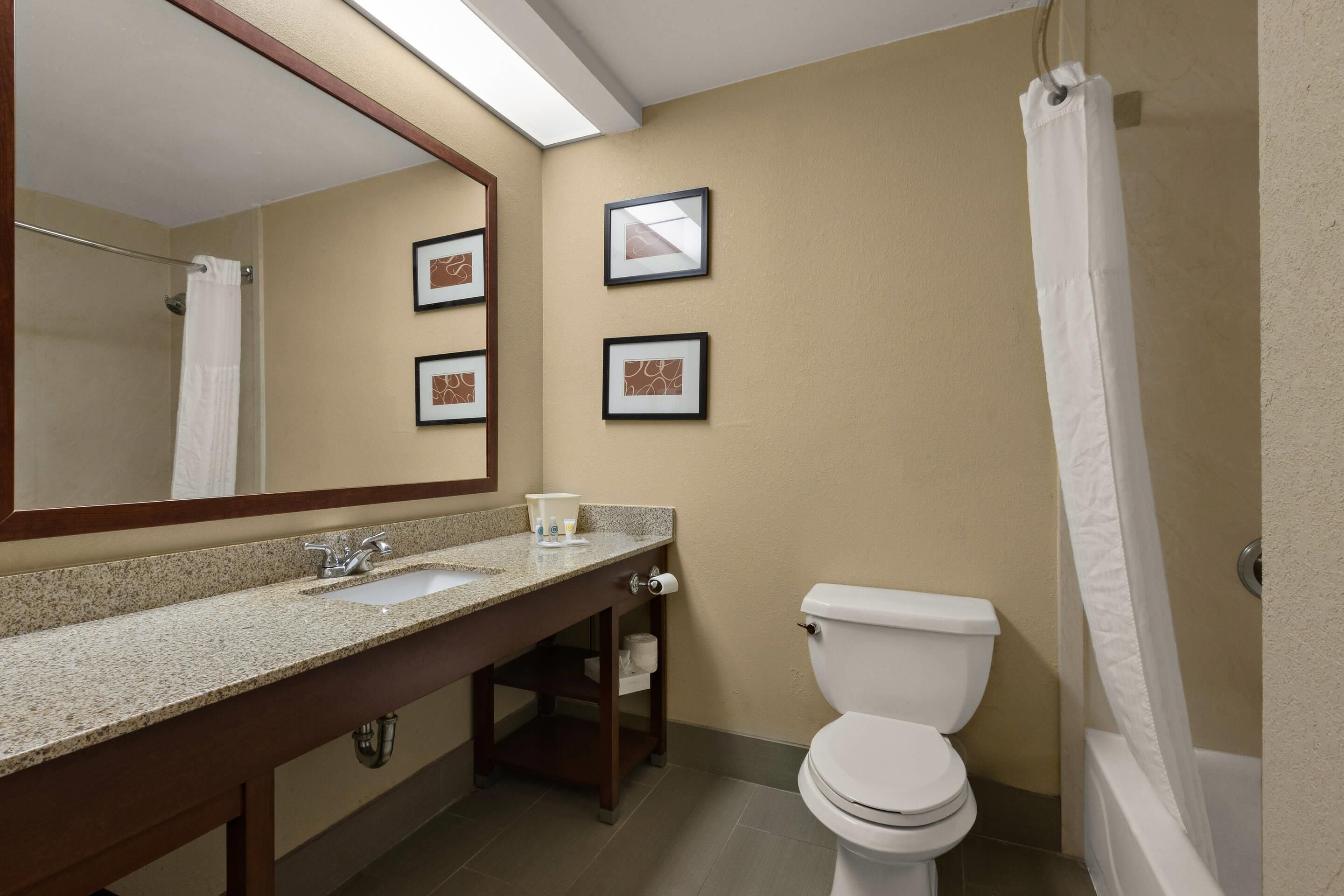 A bathroom with a sink, mirror, toilet, and shower curtain.
