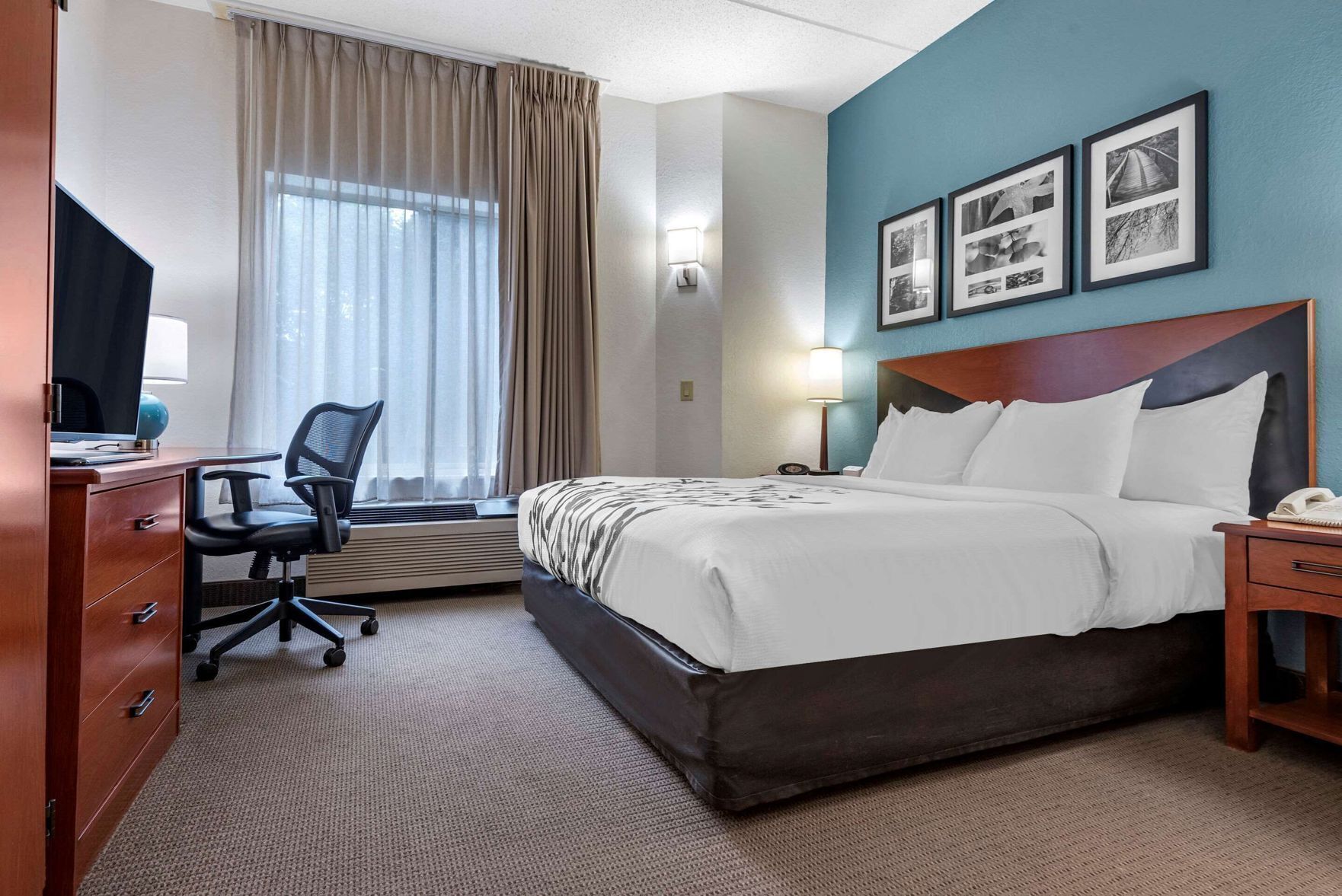 Desk, blackout drapes, iron/ironing board, free cribs/infant beds