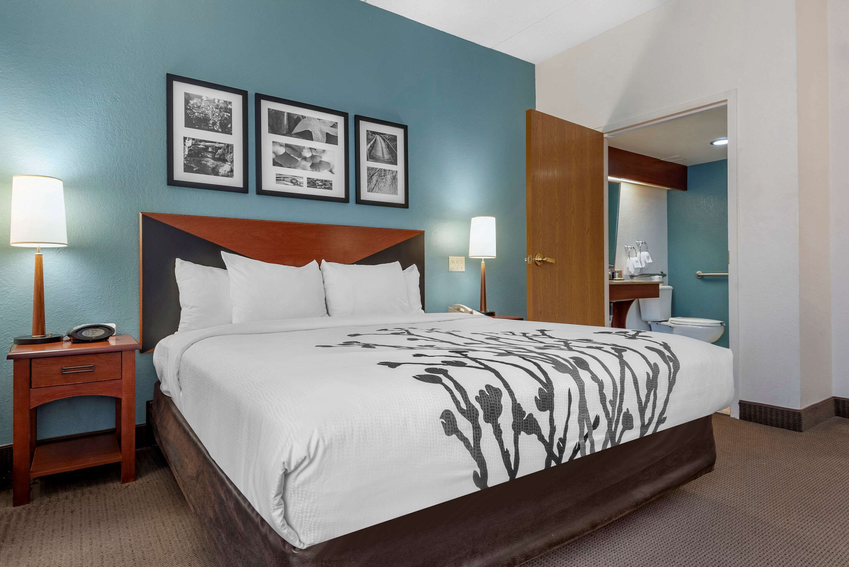 standard room, 1 king bed, accessible, non smoking | desk, blackout curtains, iron/ironing board, free cots/infant beds