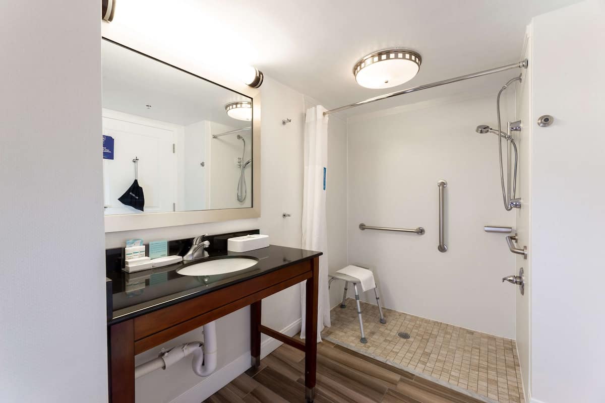 room, 1 king bed, accessible, non smoking | bathroom shower